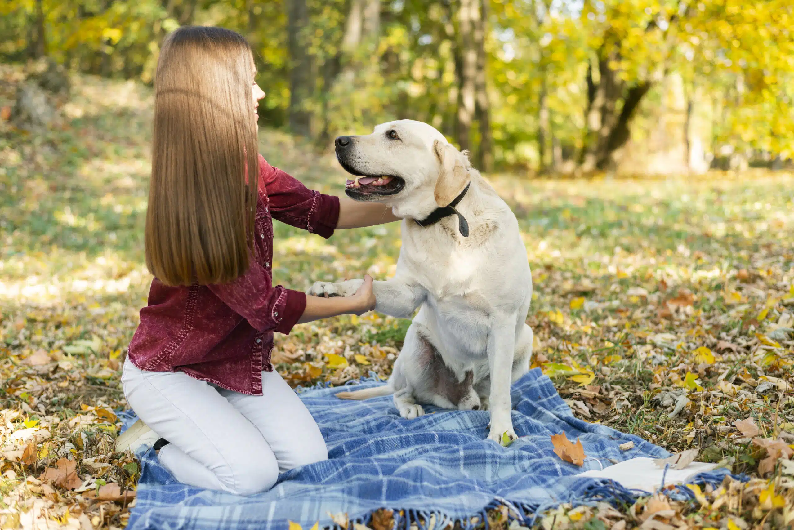 Une femme sont chien sont au camping de coulvée. Camping animaux acceptés