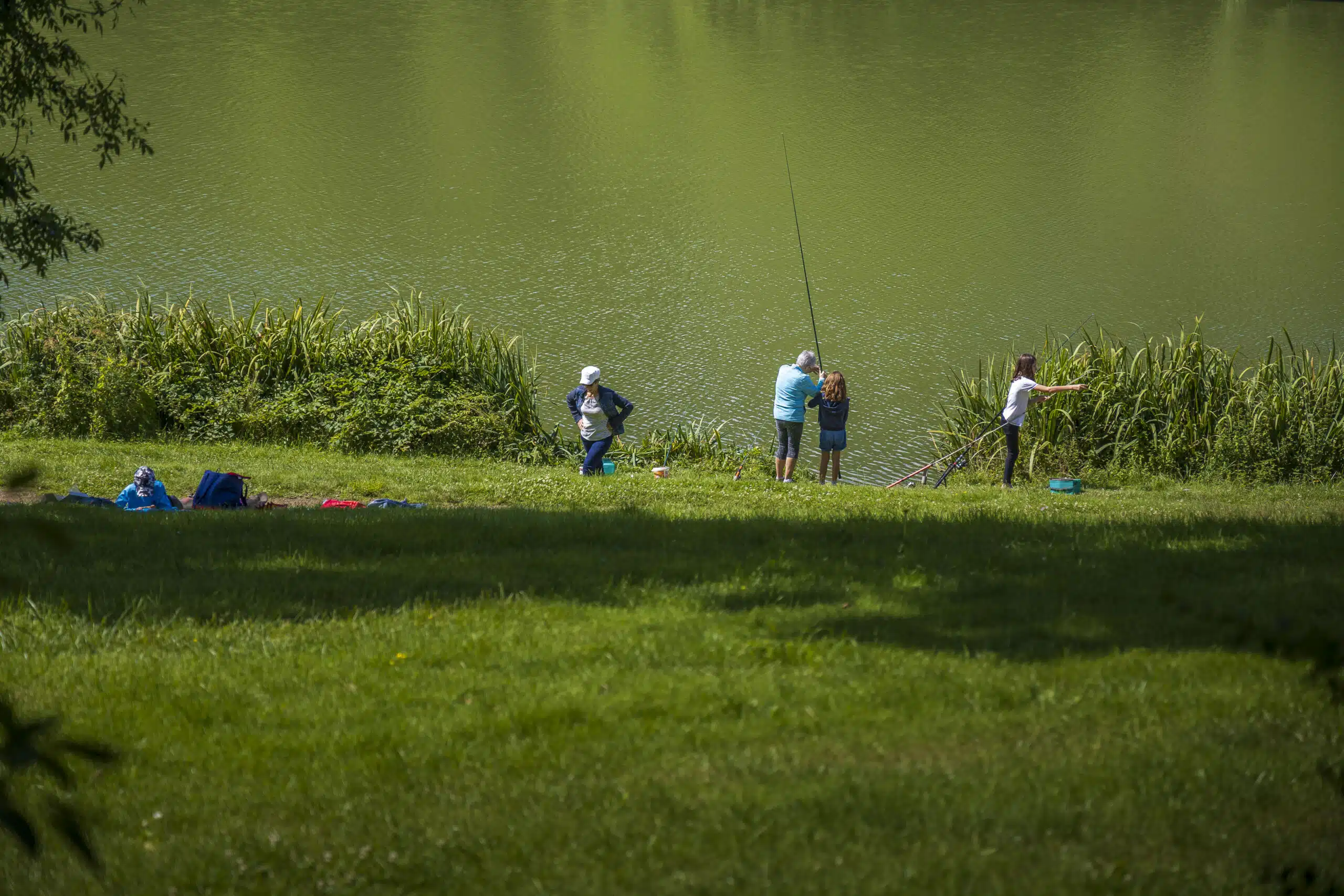 Étang de pêche de Coulvée | Camping de pêche