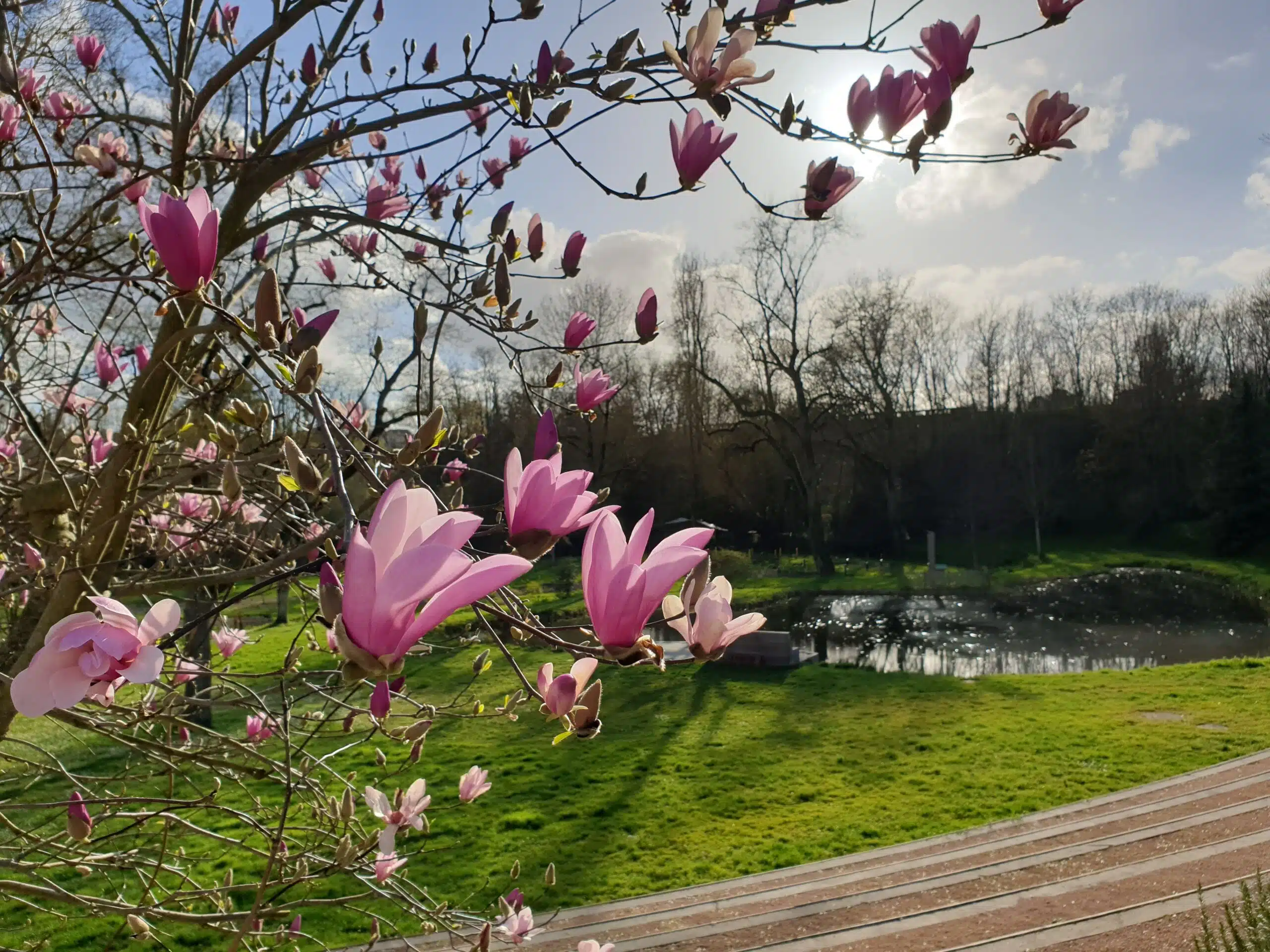 Jardin Camifolia à proximité du Camping de Coulvée.